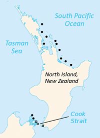 Tuataras once flourished throughout New Zealand but are now extinct on the main islands. However, ambitious rat eradication programs have reintroduced tuataras to many remote islands off the coast of New Zealand's main islands.